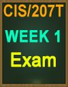CIS/207 WK1 WileyPLUS Weekly Exam CIS 207